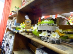 DSCN8281