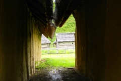DSCN8446