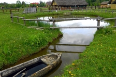 DSCN8461