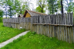 DSCN8467