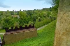 DSCN8470