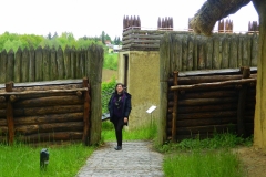 DSCN8472