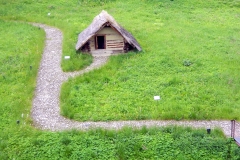 DSCN8488
